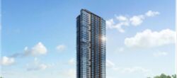 J'den (D22), Apartment #558047261